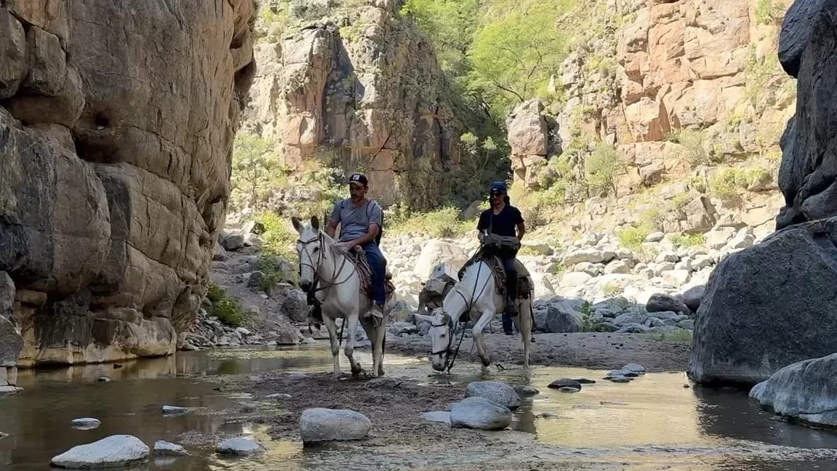 galería backstage 22