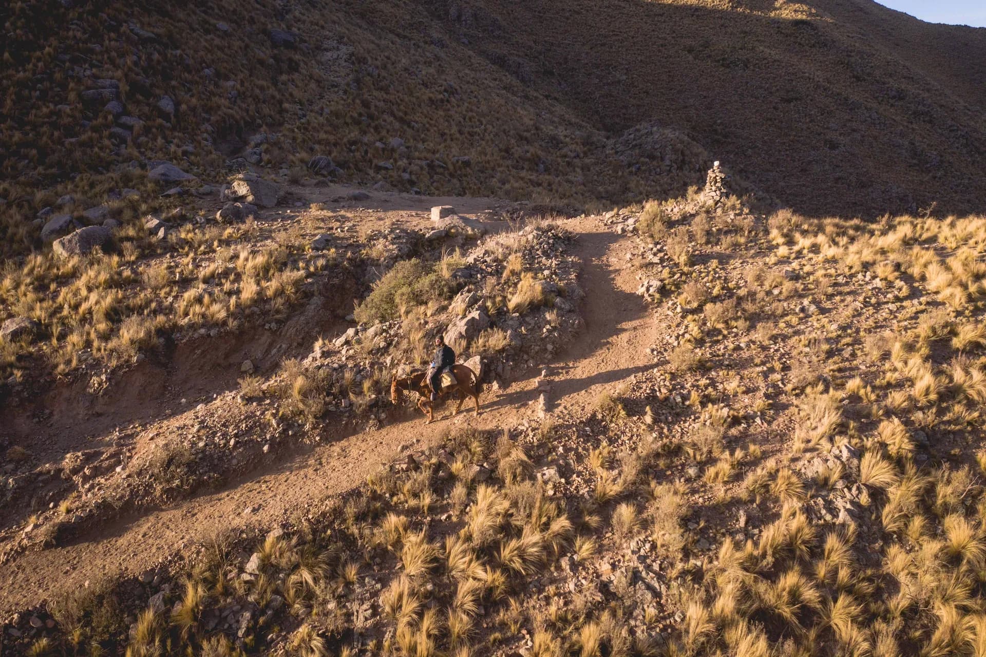 galería backstage 26