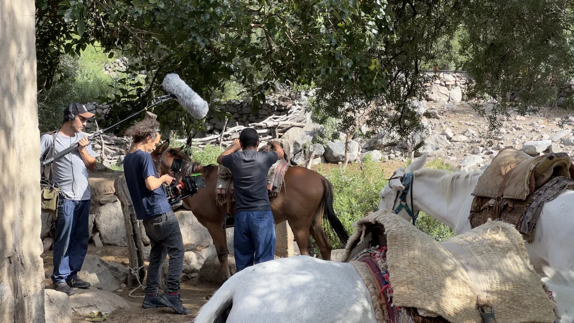 galería backstage 63