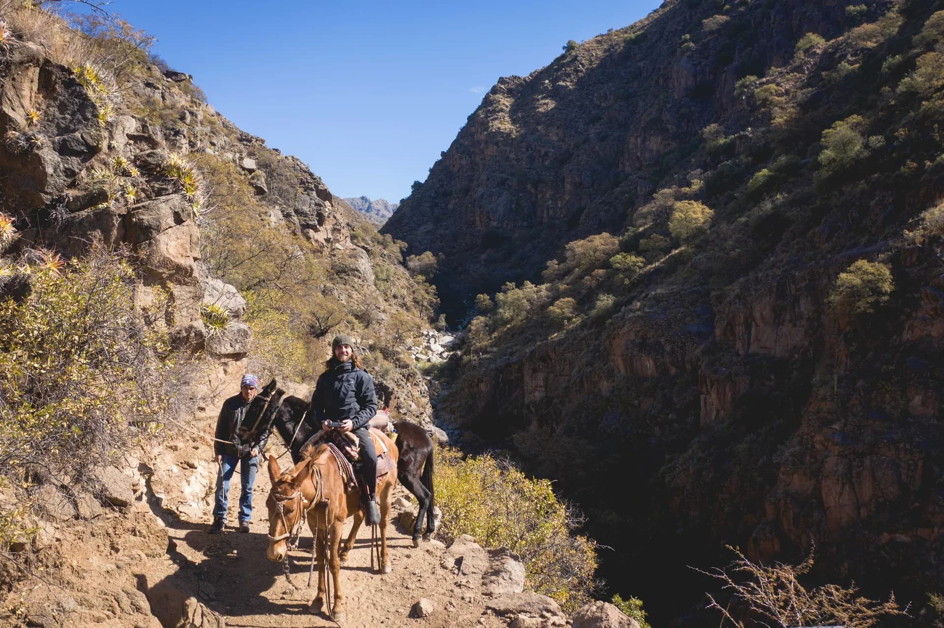 galería backstage 64