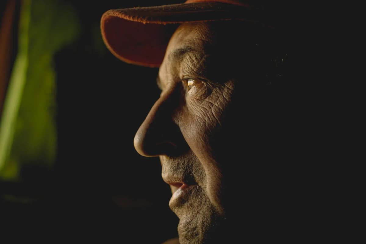 Preservación cultural