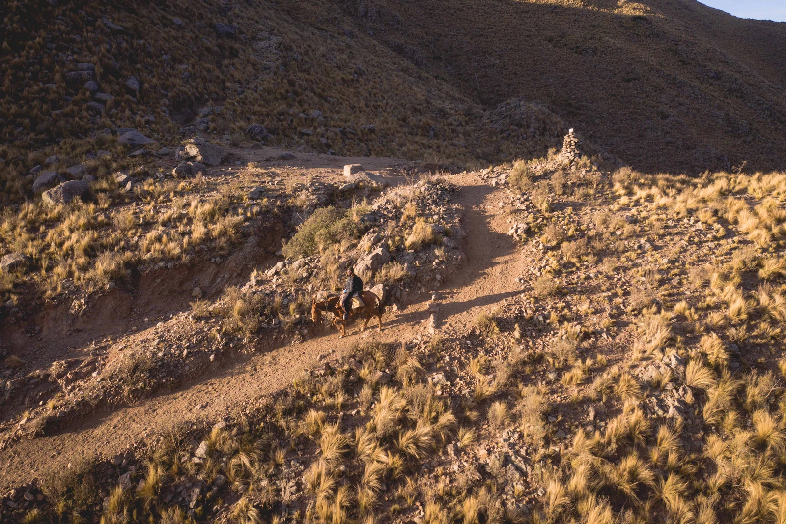 Arrieros en la cresta de la montaña
